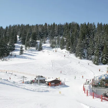 Chalet Bergoase Elsenbrunn