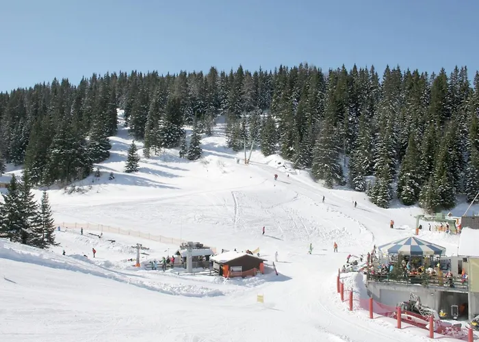 Domek alpejski Bergoase Elsenbrunn